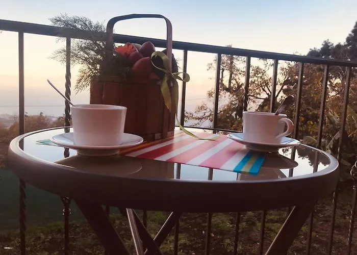 Cozy Mountain Lägenhet La Orotava