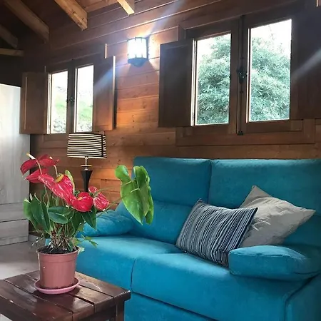 Cozy Mountain Ля Оротава